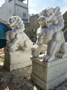 two stone lions sitting next to each other