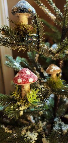 two mushrooms are sitting on the top of a christmas tree, with moss growing all over them