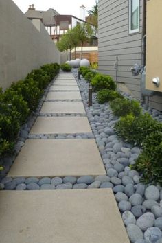 a walkway between two buildings with plants and rocks