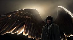 a man standing in front of an angel wing