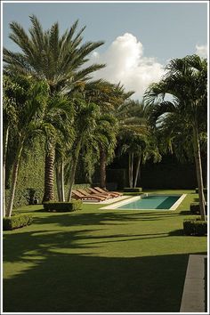 an outdoor swimming pool surrounded by palm trees