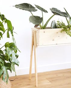 some plants are in a wooden box on the floor