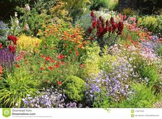 an assortment of colorful flowers and plants in a garden stock photo - image 397982