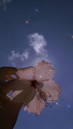 a hand holding a pink flower in front of a blue sky with stars and sparkles