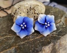 two blue flowers sitting on top of a rock