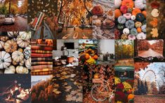 a collage of pictures with pumpkins, trees and other things in them on display