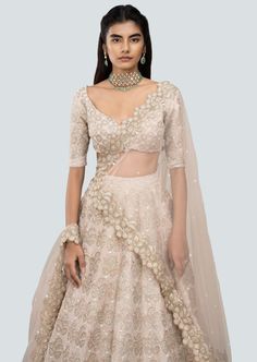 Champagne pastel tissue applique and heavy embellished raw silk kali lehenga with broad border, blouse and cutwork border net dupatta. Reception Lehenga In Tissue Silk With Cutdana, Tissue Silk Lehenga With Cutdana For Reception, Organza Lehenga With Cutdana For Reception, Tissue Silk Choli With Sheer Dupatta For Reception, Intricate Embroidery Net Saree Sets, Designer Net Lehenga With Pallu, Designer Wear Lehenga With Pallu, Wedding Choli With Cutdana On Net Material, Wedding Choli With Cutdana On Net