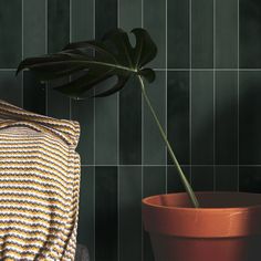 a potted plant sitting next to a wall with green tiles on it and a pillow