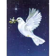 a white dove flying through the air with a twig in it's beak