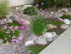 a garden with rocks, flowers and grass