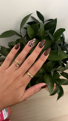 Dark brown almond autumn nails with leopard print