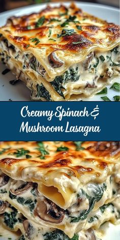 creamy spinach and mushroom lasagna is an easy to make dish that's ready in under 30 minutes