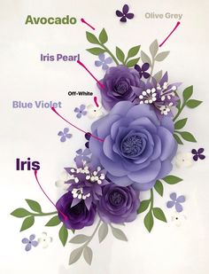 the parts of a purple flower on a white background with green leaves and blue flowers