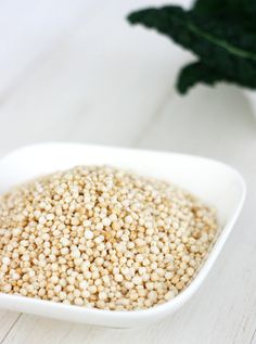 a white bowl filled with sesame seeds on top of a table next to a plant