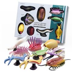 an assortment of sea creatures are shown in front of a book