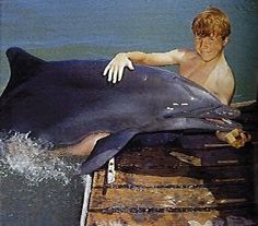 a young boy standing next to a dolphin in the water