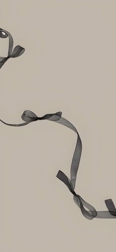 a long gray ribbon on a white background