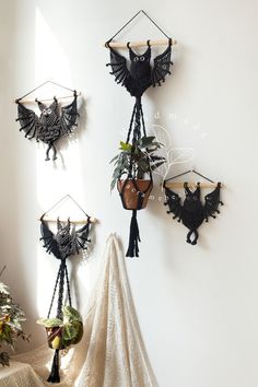 the wall is decorated with hanging planters and other decorative items