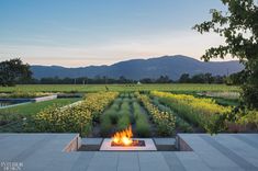 an outdoor fire pit surrounded by flowers and greenery with mountains in the back ground