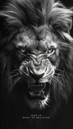 a black and white photo of a lion's face with it's mouth open