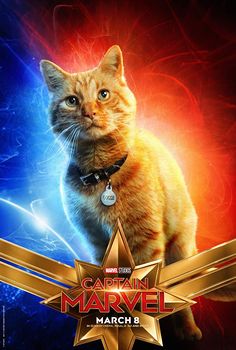 the poster for captain marvel, which features an orange cat in front of a blue and red background