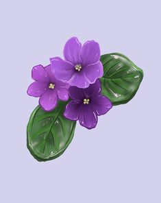 three purple flowers with green leaves on a blue background