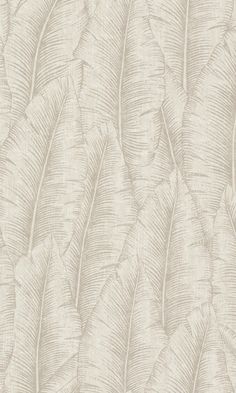 an up close view of a wallpaper pattern with white feathers on the back ground