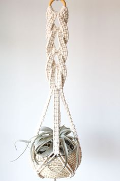 an air plant hanging from a rope with succulents in it on a white background