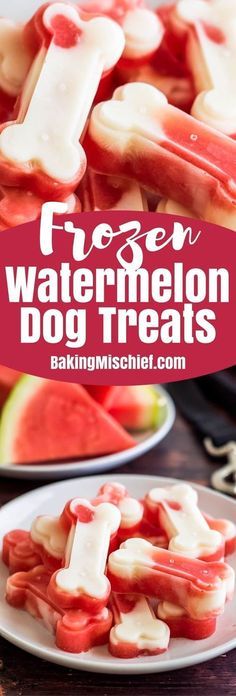 watermelon dog treats on plates with the words freezer watermelon dog treats