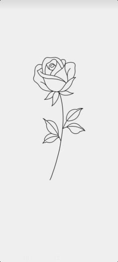 a single rose on a white background with the word love written in black and white