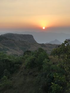 the sun is setting on top of a hill with trees and bushes in front of it