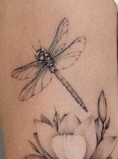 a dragonfly sitting on top of a flower next to a pencil and ink drawing