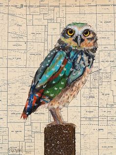 an owl sitting on top of a piece of wood in front of a wall map