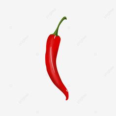 a red chilli pepper on a white background png and psd file for free