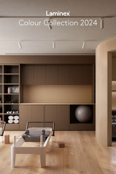 a living room filled with furniture and lots of shelves