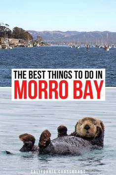 the best things to do in morro bay, california with text overlaying it