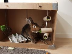 a rabbit sitting in a cardboard box with toilet paper on the floor next to it