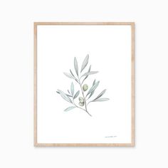 an olive branch with green leaves on a white background in a wooden frame hanging on the wall