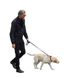 an older man walking his dog on a leash, in front of a white background