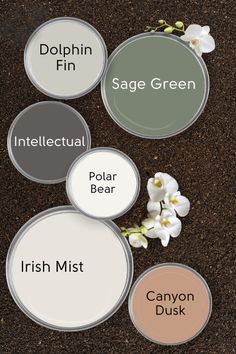 four different shades of paint sitting on top of dirt with flowers in the middle and bottom