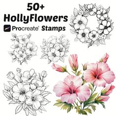 the 50 + hollyflowers procreate stamps are available for use on crafts