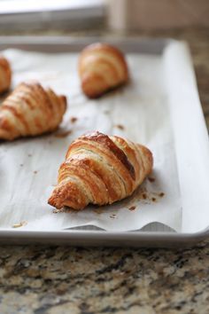 croissants on a baking sheet ready to be baked