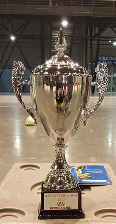 a large silver trophy sitting on top of a table