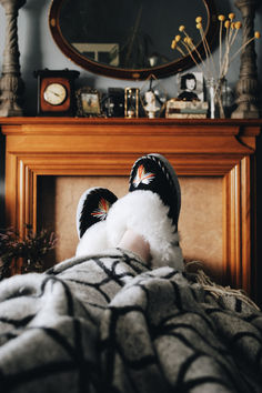 Embrace the crisp autumn air with our hand-stitched sheepskin slippers! Perfect for those chilly October mornings, ONAIE slippers are a blend of comfort and style, keeping your feet warm and cosy. Whether you’re relaxing at home or stepping out, our luxurious slippers will be your go-to this season. Check out our full range and find your perfect pair! #ONAIE #SheepskinSlippers #AutumnEssentials #CosyFeet #OctoberVibes #AutumnStyle #FallFavourites #WarmAndStylish #HandcraftedLuxury Ladies Slippers, Kids Slippers