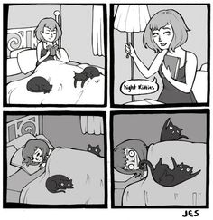 a comic strip with two cats laying in bed and one cat sleeping on top of the bed