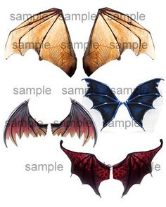 four different types of wings on a white background