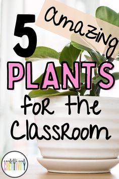 a potted plant sitting on top of a table with the words 5 amazing plants for the classroom