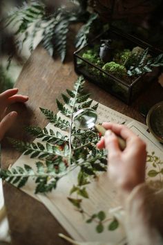 a person is working on some plants with scissors and paper in front of them while another person looks at it