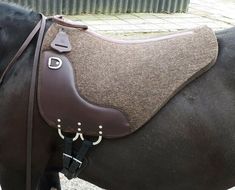 a close up of a horse wearing a saddle