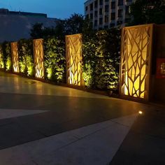 an outdoor area with lights and privacy screens